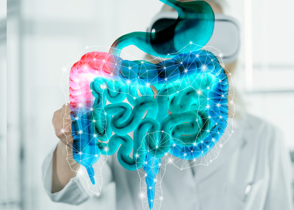 Bactérias do intestino